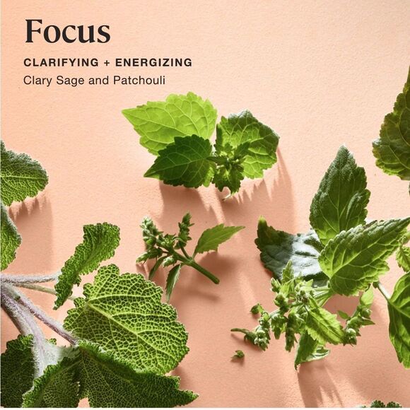 Sprig by Kohler Focus Body & Linen Mist - Picture 2 of 5